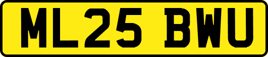 ML25BWU