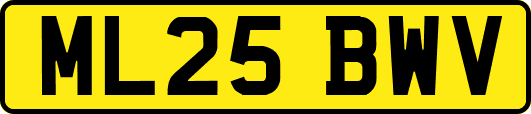 ML25BWV