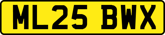 ML25BWX