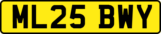 ML25BWY