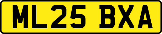 ML25BXA