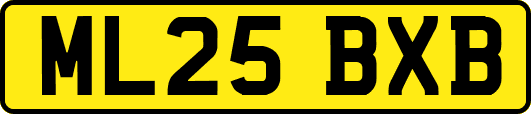 ML25BXB