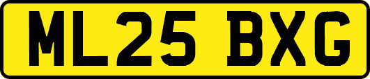 ML25BXG