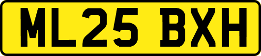 ML25BXH