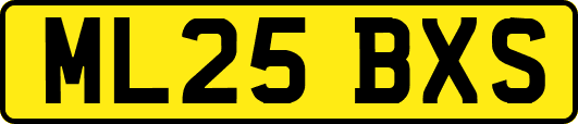 ML25BXS