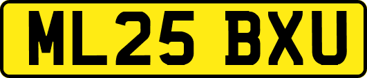 ML25BXU