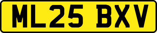 ML25BXV