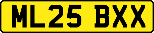 ML25BXX