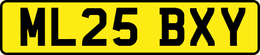 ML25BXY