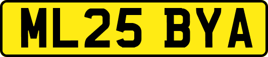 ML25BYA