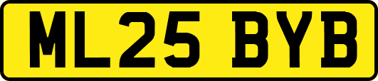ML25BYB