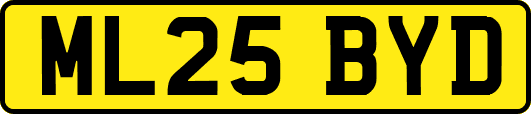 ML25BYD