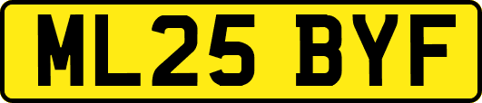 ML25BYF