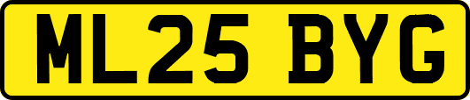 ML25BYG