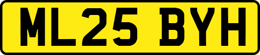 ML25BYH
