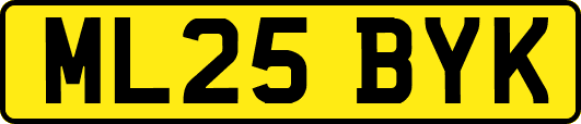 ML25BYK