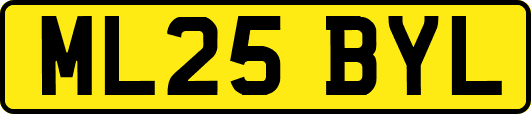 ML25BYL