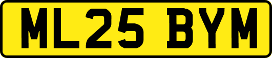 ML25BYM