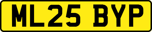 ML25BYP