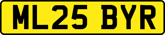 ML25BYR