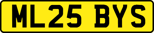 ML25BYS