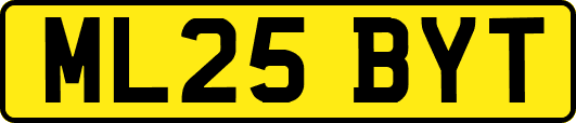 ML25BYT