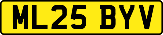 ML25BYV