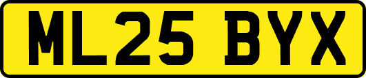 ML25BYX