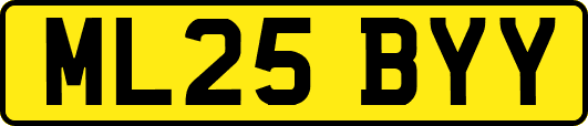 ML25BYY