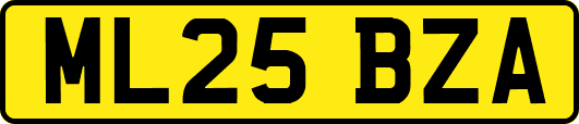 ML25BZA