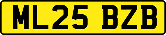 ML25BZB