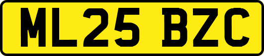 ML25BZC