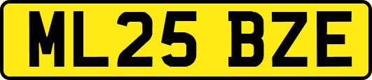 ML25BZE