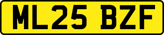 ML25BZF
