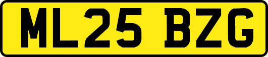 ML25BZG