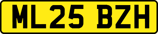 ML25BZH