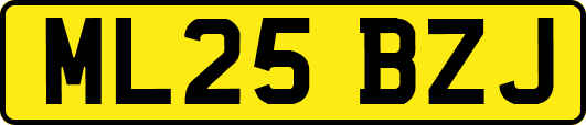 ML25BZJ