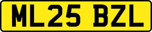 ML25BZL