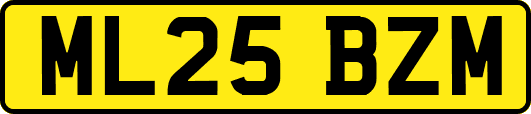 ML25BZM