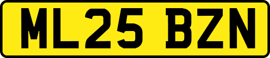 ML25BZN