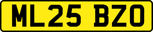 ML25BZO