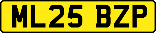 ML25BZP