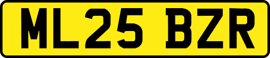 ML25BZR