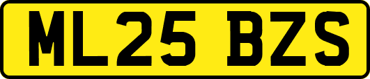 ML25BZS