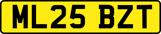 ML25BZT