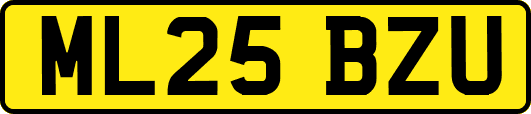 ML25BZU