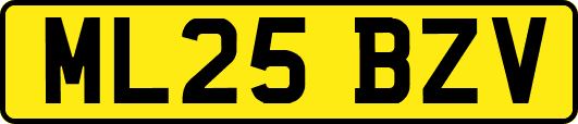 ML25BZV