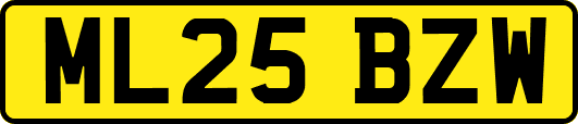 ML25BZW