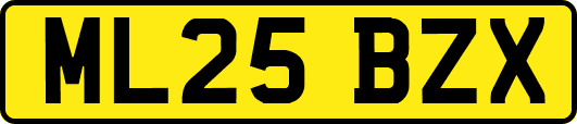 ML25BZX