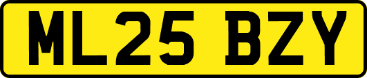 ML25BZY